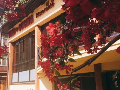Фото VINO e CUCINA Київ