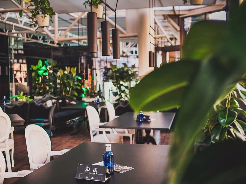 Меню ресторану Avalon (Авалон) у місті Київ, відгуки клієнтів ⭐ TipMyMenu