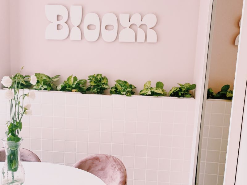 Меню ресторана Bloom Cafe в городе Киев, отзывы клиентов ⭐ TipMyMenu