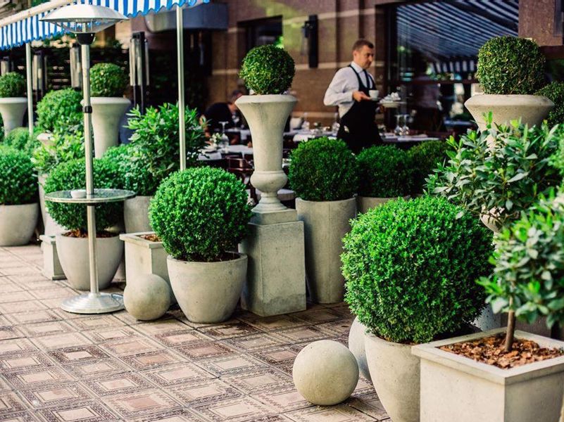 Меню ресторану Piccolino у місті Київ, відгуки клієнтів ⭐ TipMyMenu