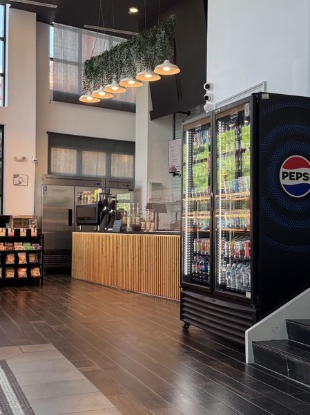 Фото Паштет из лесных грибов с нутовыми крекерами в Green Food Cafe